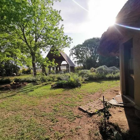Drakensberg Bush Lodge And Backpackers 温特顿 外观 照片