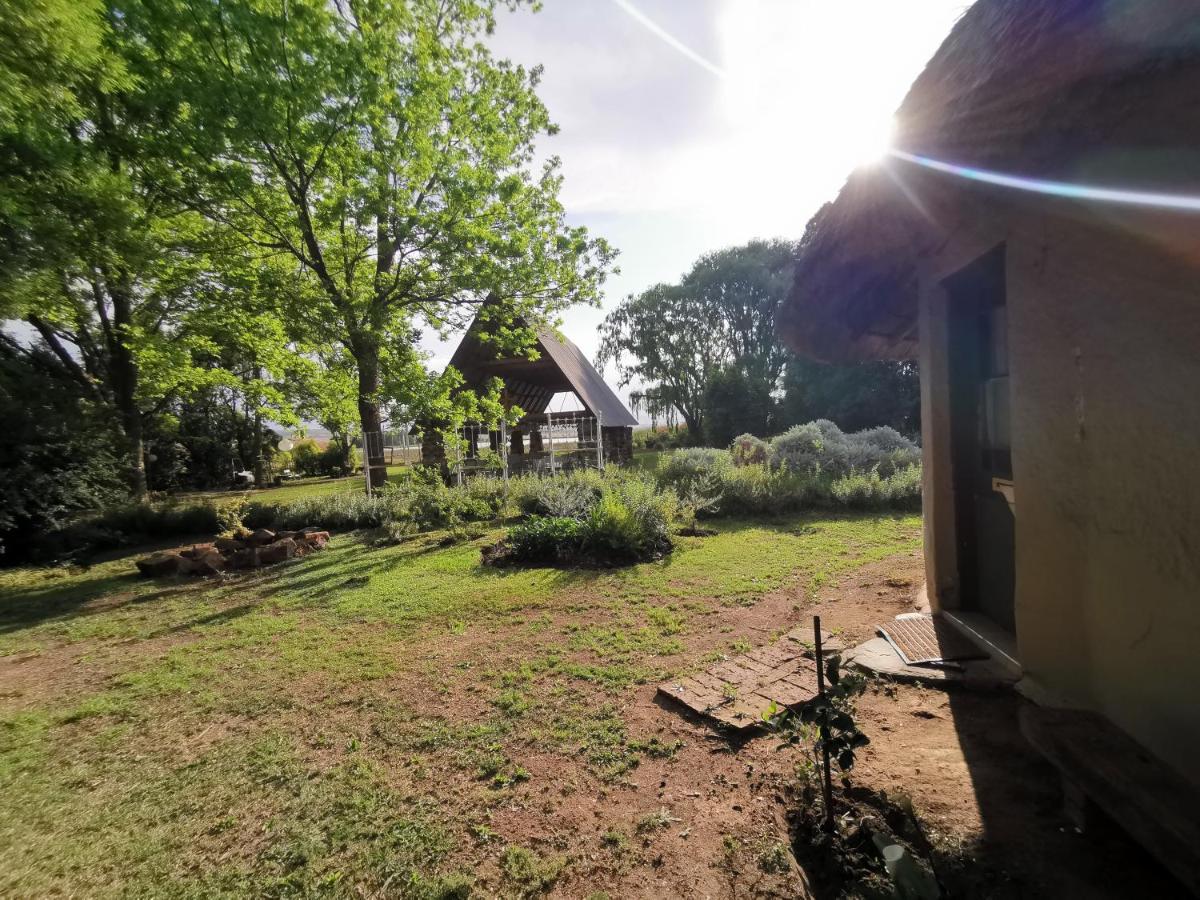 Drakensberg Bush Lodge And Backpackers 温特顿 外观 照片