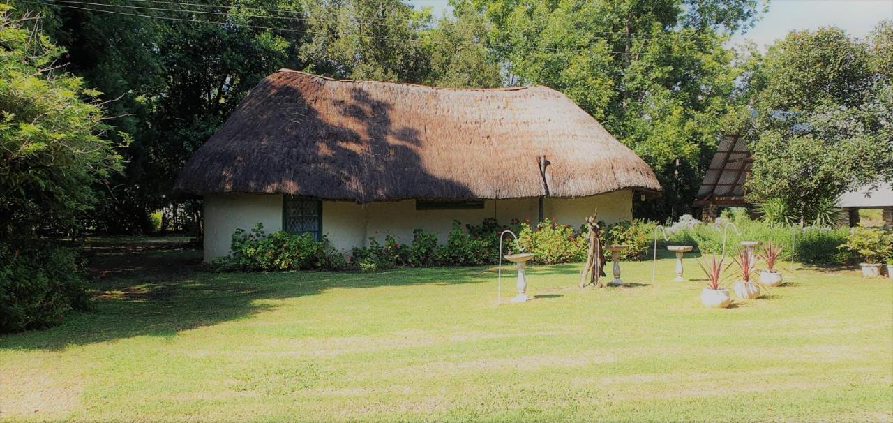 Drakensberg Bush Lodge And Backpackers 温特顿 外观 照片