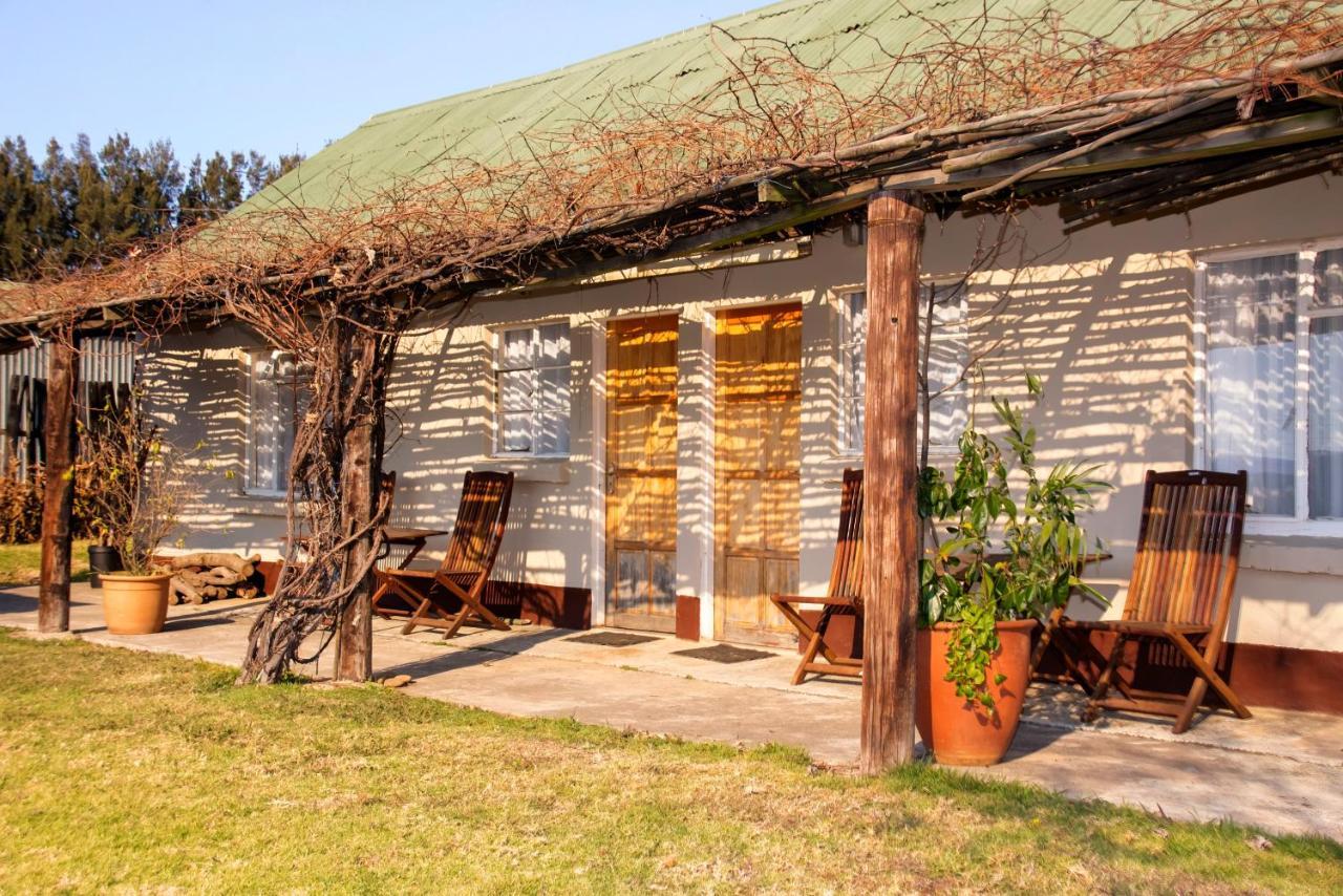 Drakensberg Bush Lodge And Backpackers 温特顿 外观 照片