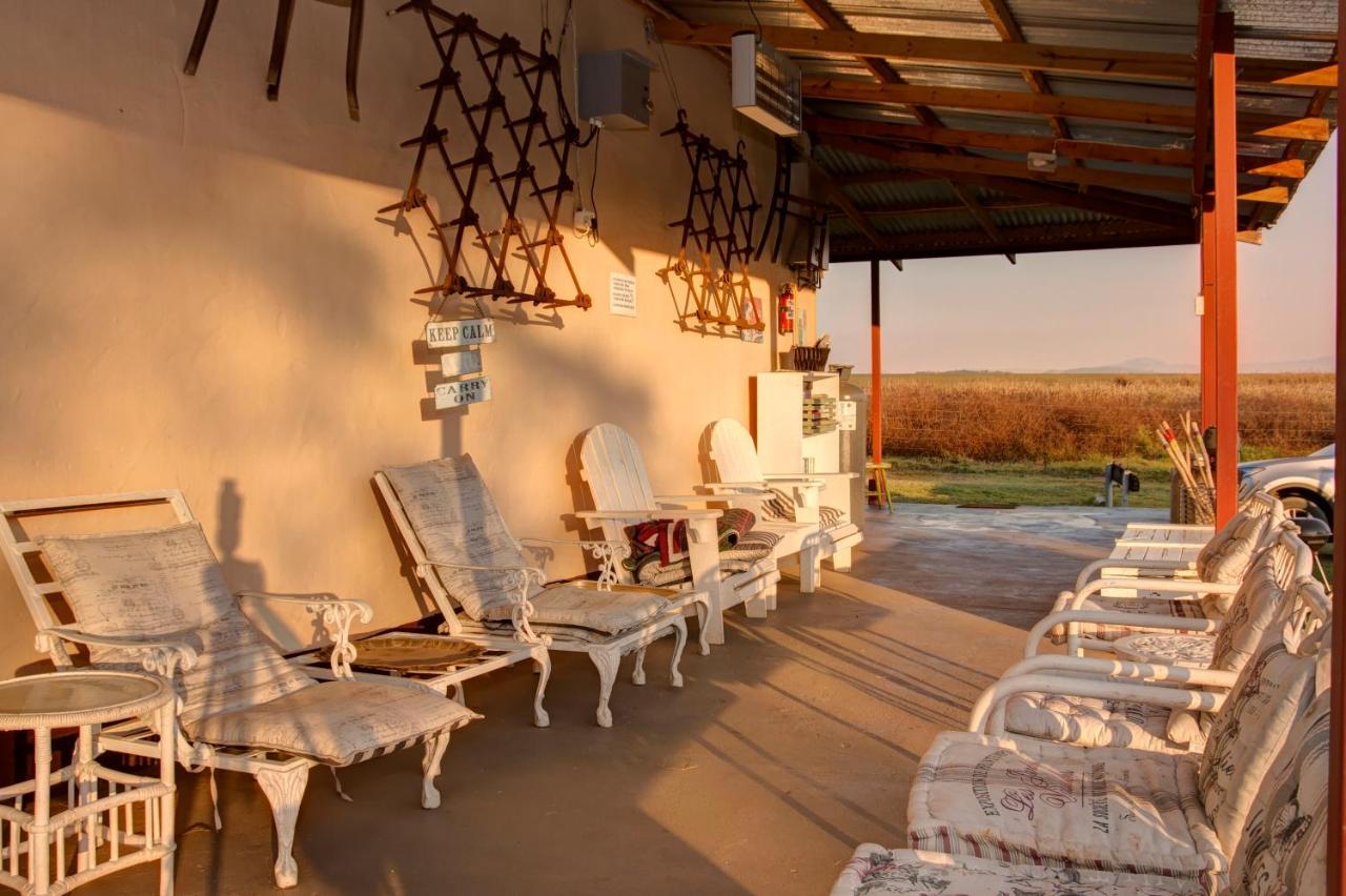 Drakensberg Bush Lodge And Backpackers 温特顿 外观 照片