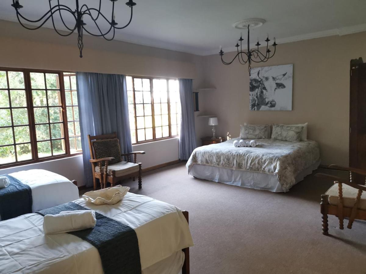 Drakensberg Bush Lodge And Backpackers 温特顿 外观 照片